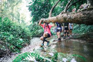 BIB: 
                            <button type="button" onclick="openModal(25463396)" class="btn btn-primary btn-sm float-right btn-popup" data-toggle="modal" data-target=".modal-high-quality">
                        <i class="fas fa-shopping-cart"></i> Add to Cart
                    </button>
                                            <button type="button" onclick="isThisMe(25463396, true)" class="btn btn-success btn-sm float-right btn-popup btn-isme hidden" data-toggle="tooltip" data-placement="bottom" title="นี่คือรูปของคุณใช่ไหม คลิกที่นี่เพื่อเอาเข้าอัลบั้ม">
                        <i class="fas fa-plus"></i> Add to album
                    </button>
                    <button type="button" onclick="isThisMe(25463396, false)" class="btn btn-warning btn-sm float-right btn-popup btn-isnotme hidden">
                        <i class="fas fa-ban"></i> Remove from album
                    </button>